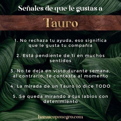 hombres tauro como le gustan las mujeres|Hombre Tauro – Personalidad y comportamiento en el。